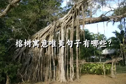 榕树寓意唯美句子有哪些？