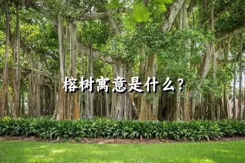 榕树寓意是什么？