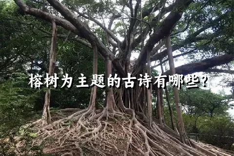 榕树为主题的古诗有哪些？