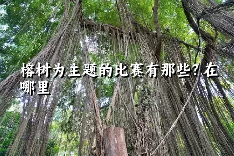 榕树为主题的比赛有那些？在哪里