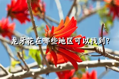 龙牙花在哪些地区可以找到？