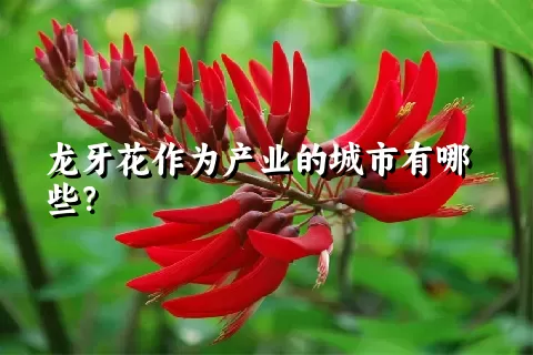 龙牙花作为产业的城市有哪些？