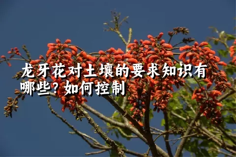 龙牙花对土壤的要求知识有哪些？如何控制