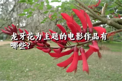 龙牙花为主题的电影作品有哪些？