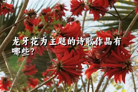 龙牙花为主题的诗歌作品有哪些？