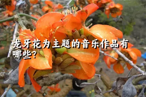 龙牙花为主题的音乐作品有哪些？