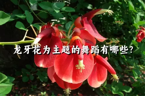 龙牙花为主题的舞蹈有哪些？