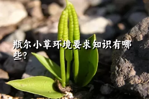 瓶尔小草环境要求知识有哪些？