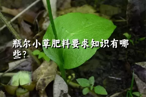 瓶尔小草肥料要求知识有哪些？