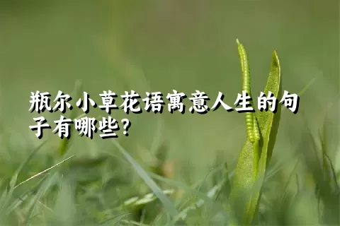 瓶尔小草花语寓意人生的句子有哪些？