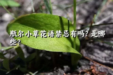 瓶尔小草花语禁忌有吗？是哪些？