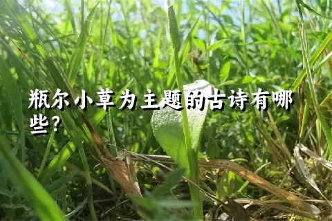 瓶尔小草为主题的古诗有哪些？