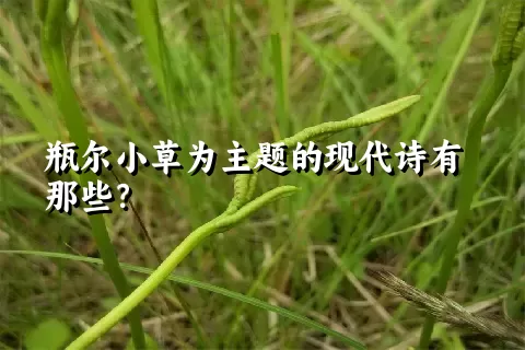 瓶尔小草为主题的现代诗有那些？