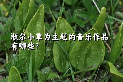 瓶尔小草为主题的音乐作品有哪些？