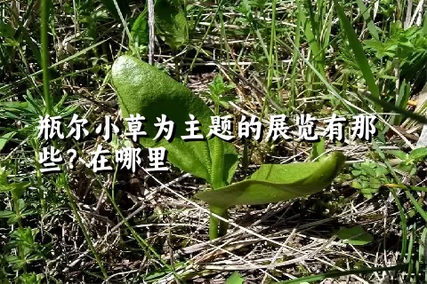 瓶尔小草为主题的展览有那些？在哪里