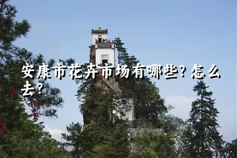 安康市花卉市场有哪些？怎么去？