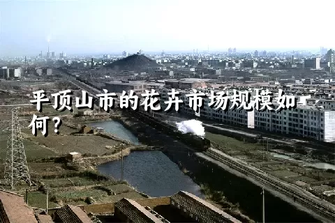 平顶山市的花卉市场规模如何？