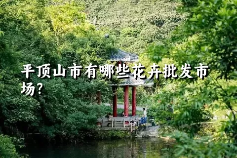 平顶山市有哪些花卉批发市场？