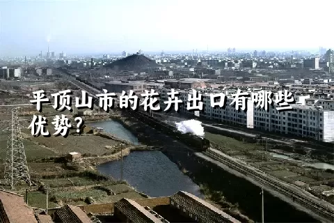 平顶山市的花卉出口有哪些优势？