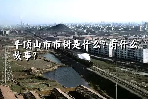 平顶山市市树是什么？有什么故事？