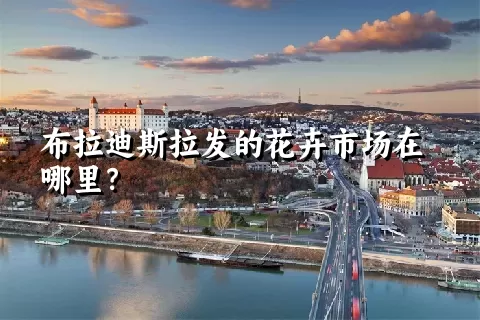 布拉迪斯拉发的花卉市场在哪里？