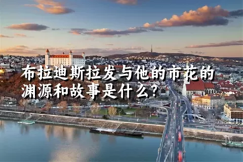 布拉迪斯拉发与他的市花的渊源和故事是什么？