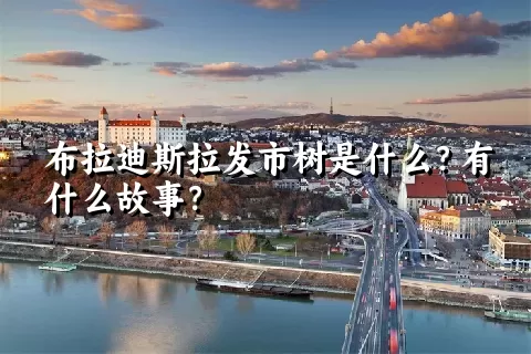 布拉迪斯拉发市树是什么？有什么故事？