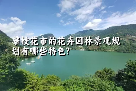 攀枝花市的花卉园林景观规划有哪些特色?