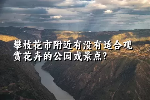 攀枝花市附近有没有适合观赏花卉的公园或景点?