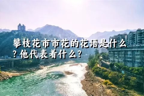 攀枝花市市花的花语是什么？他代表着什么？