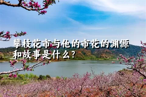 攀枝花市与他的市花的渊源和故事是什么？