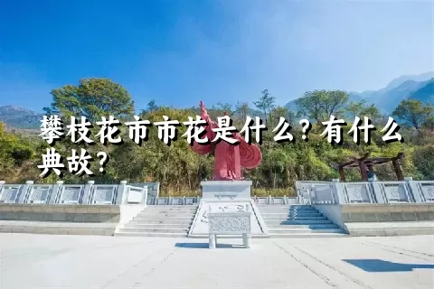 攀枝花市市花是什么？有什么典故？