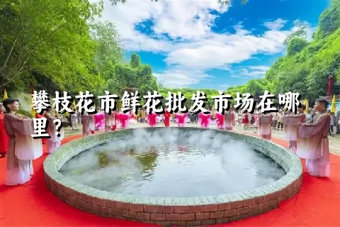 攀枝花市鲜花批发市场在哪里？