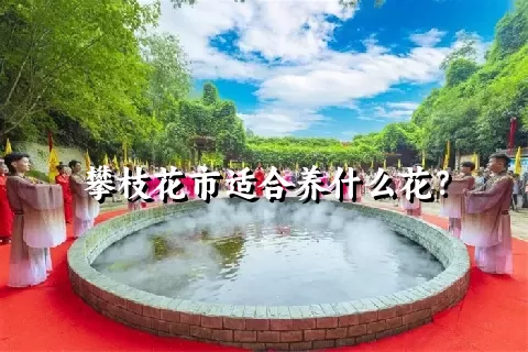 攀枝花市适合养什么花？