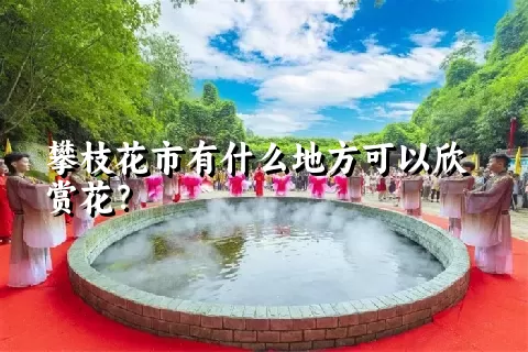 攀枝花市有什么地方可以欣赏花？