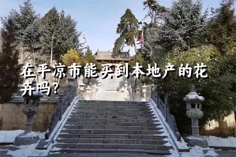 在平凉市能买到本地产的花卉吗？