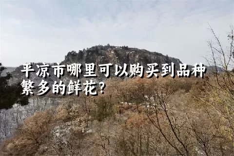 平凉市哪里可以购买到品种繁多的鲜花？