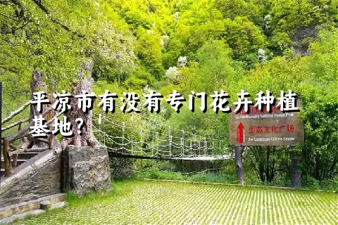 平凉市有没有专门花卉种植基地？