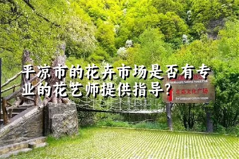 平凉市的花卉市场是否有专业的花艺师提供指导？