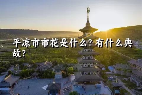 平凉市市花是什么？有什么典故？