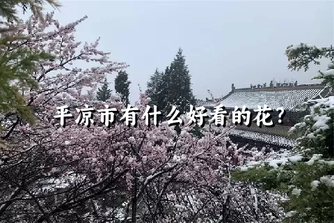 平凉市有什么好看的花？