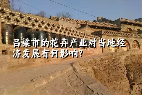 吕梁市的花卉产业对当地经济发展有何影响？