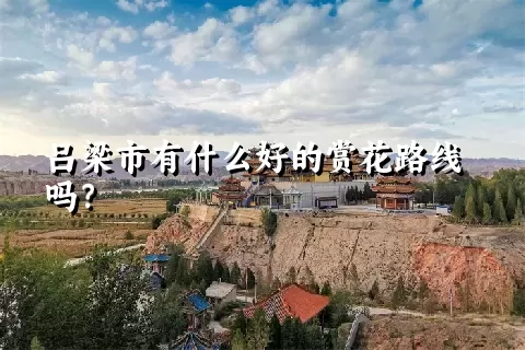 吕梁市有什么好的赏花路线吗？