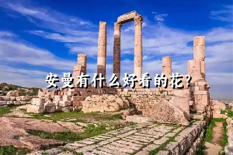 安曼有什么好看的花？