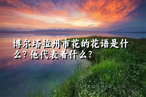 博尔塔拉州市花的花语是什么？他代表着什么？