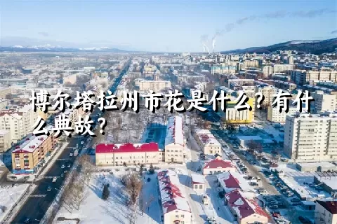 博尔塔拉州市花是什么？有什么典故？