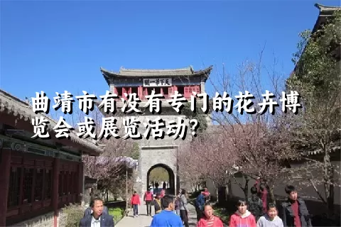 曲靖市有没有专门的花卉博览会或展览活动？