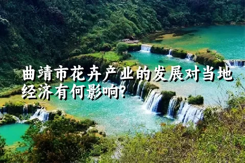 曲靖市花卉产业的发展对当地经济有何影响？