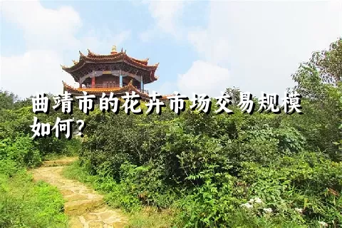 曲靖市的花卉市场交易规模如何？