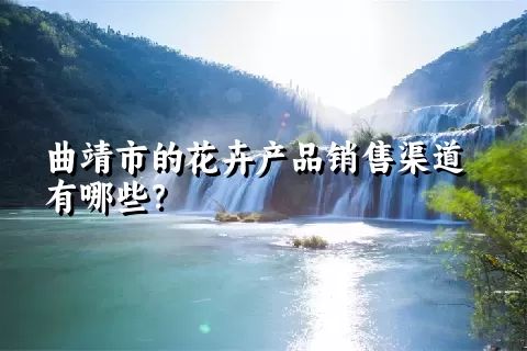 曲靖市的花卉产品销售渠道有哪些？